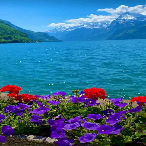 زینب حسنی و نفس بوگون سنین دوغوم گونوندور عمروم